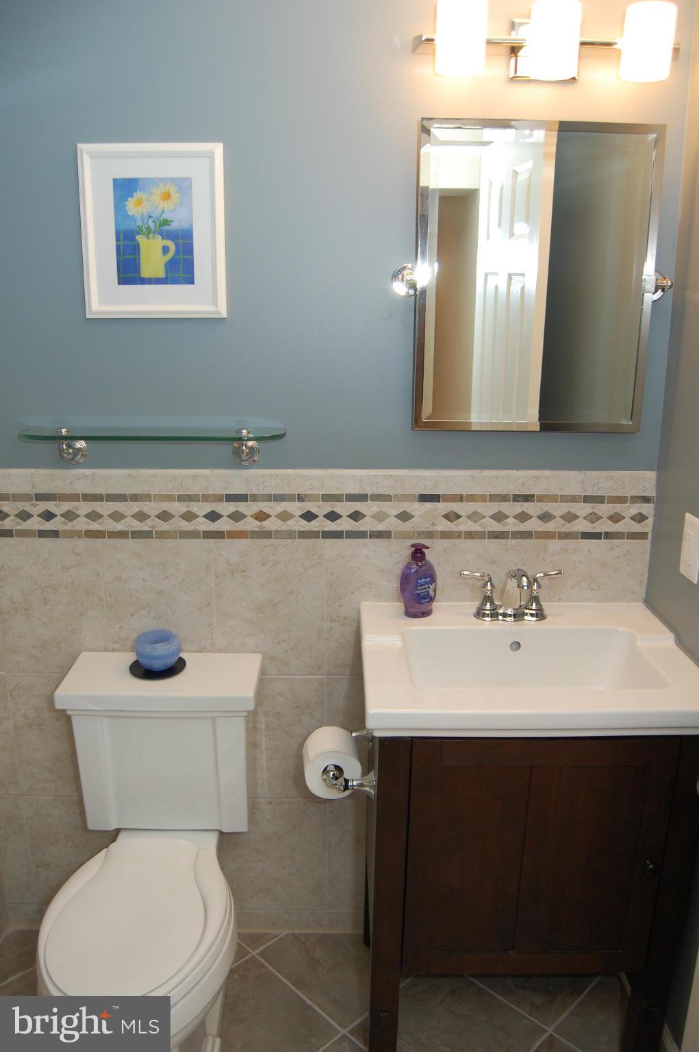 8350 Academy Road Ellicott City, MD 21043 - Photo 27 of 30 Lower Level Full Bath