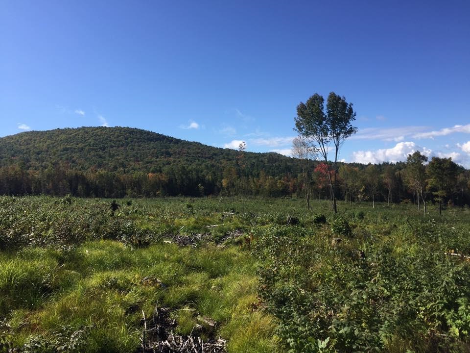Long Hill Road Concord, VT 05824 - Photo 1 of 23