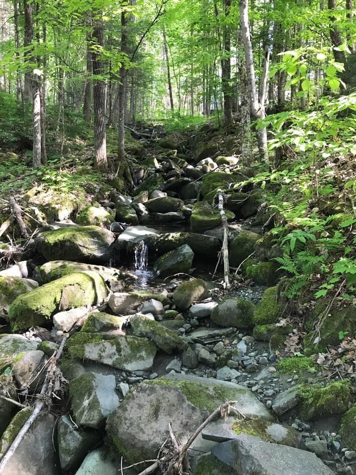 Long Hill Road Concord, VT 05824 - Photo 11 of 23