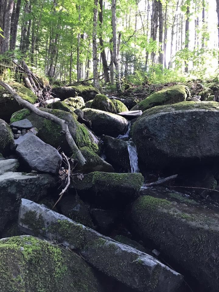 Long Hill Road Concord, VT 05824 - Photo 13 of 23