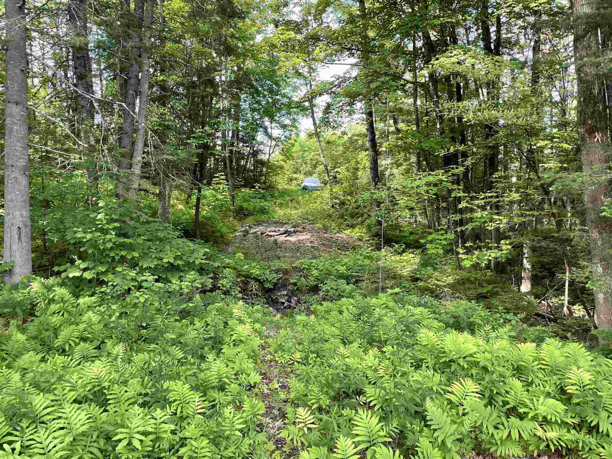 Long Hill Road Concord, VT 05824 - Photo 16 of 23