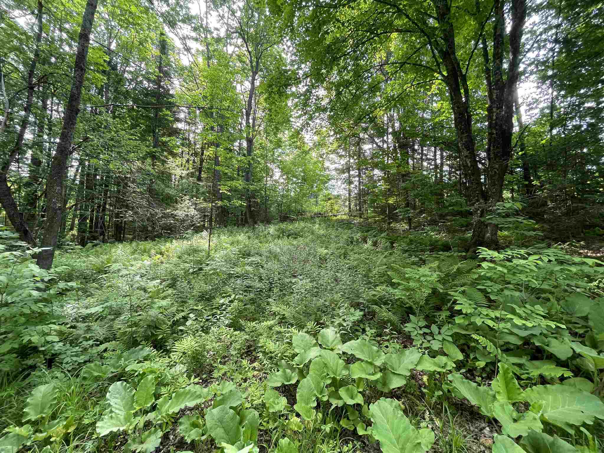 Long Hill Road Concord, VT 05824 - Photo 20 of 23