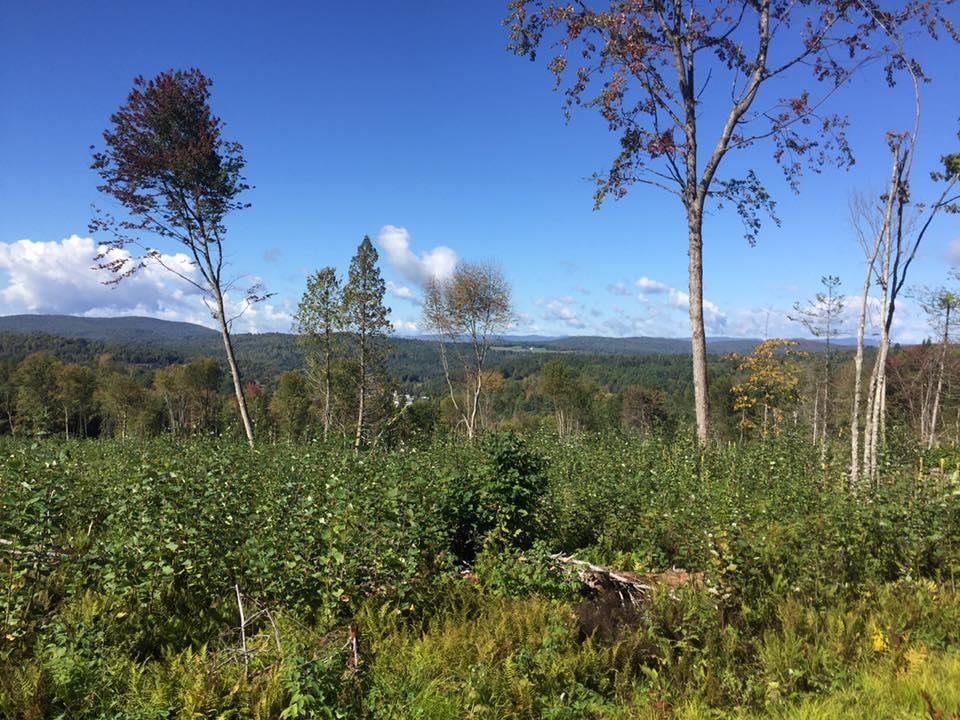 Long Hill Road Concord, VT 05824 - Photo 3 of 23