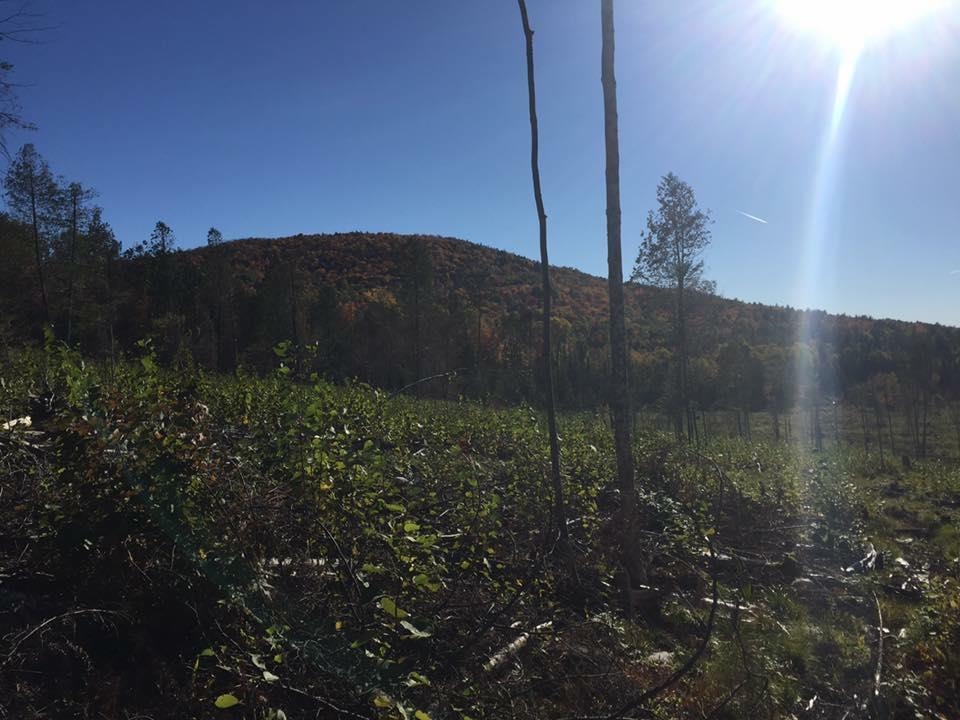 Long Hill Road Concord, VT 05824 - Photo 4 of 23