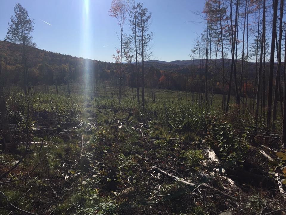 Long Hill Road Concord, VT 05824 - Photo 6 of 23