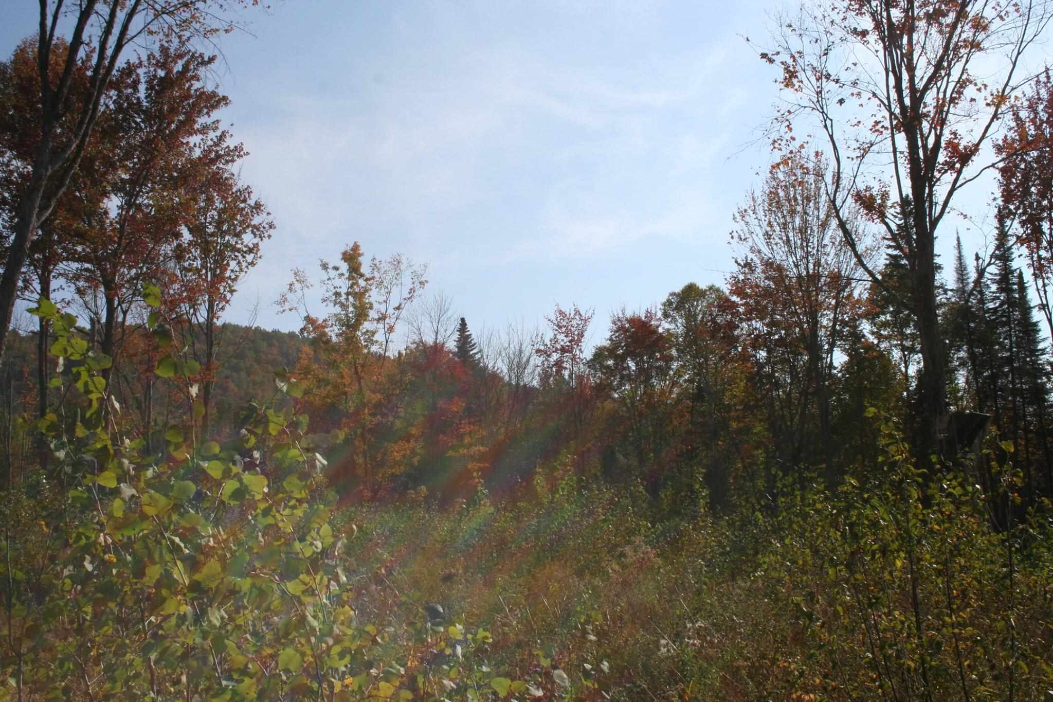 Long Hill Road Concord, VT 05824 - Photo 8 of 23