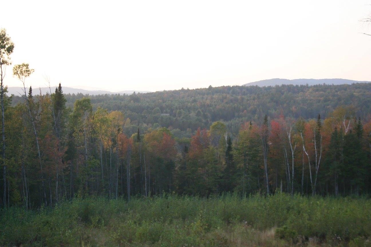 Long Hill Road Concord, VT 05824 - Photo 9 of 23