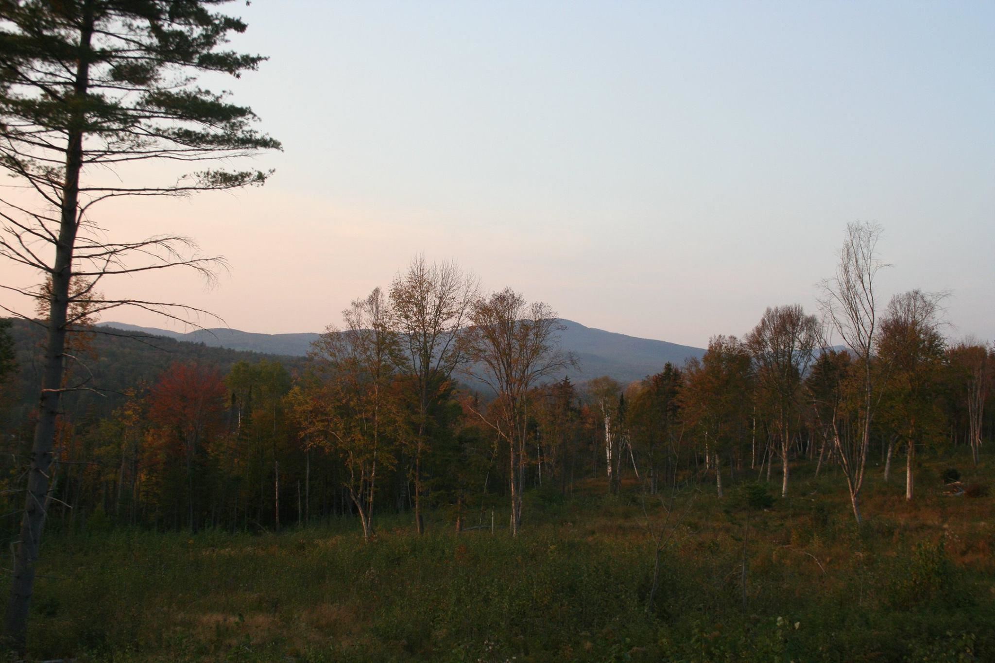 Long Hill Road Concord, VT 05824 - Photo 10 of 23