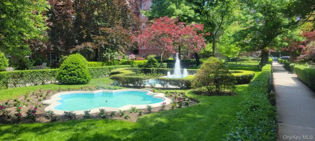 a view of a park that has large trees and plants