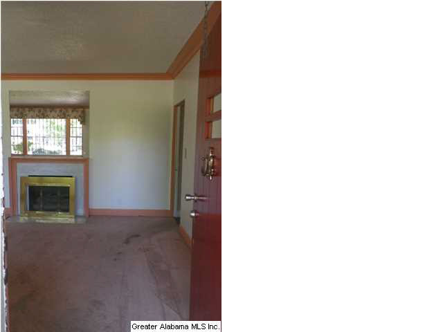 800 2nd Street Southwest Birmingham, AL 35211 - Photo 2 of 14