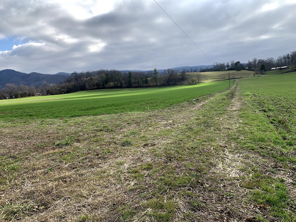 1704 Corby Bridge Road Chuckey, TN 37641 - Photo 4 of 43 a view of a golf course with a lake