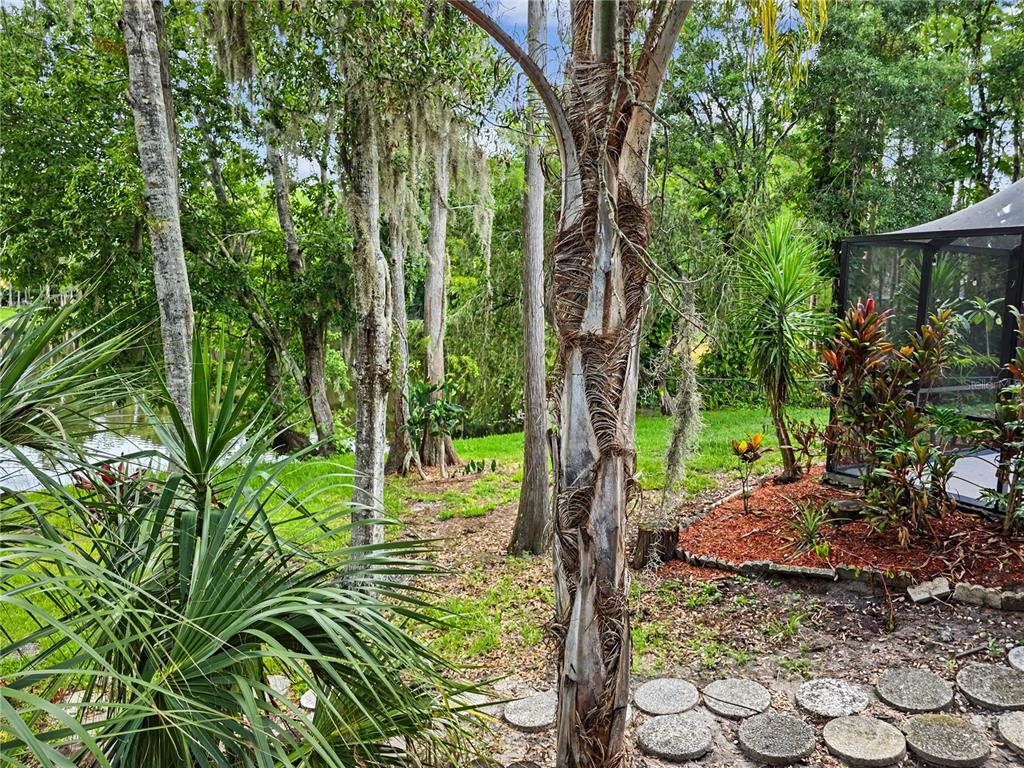 2202 Amity Court New Port Richey, FL 34655 - Photo 59 of 84 Gallery Image 59