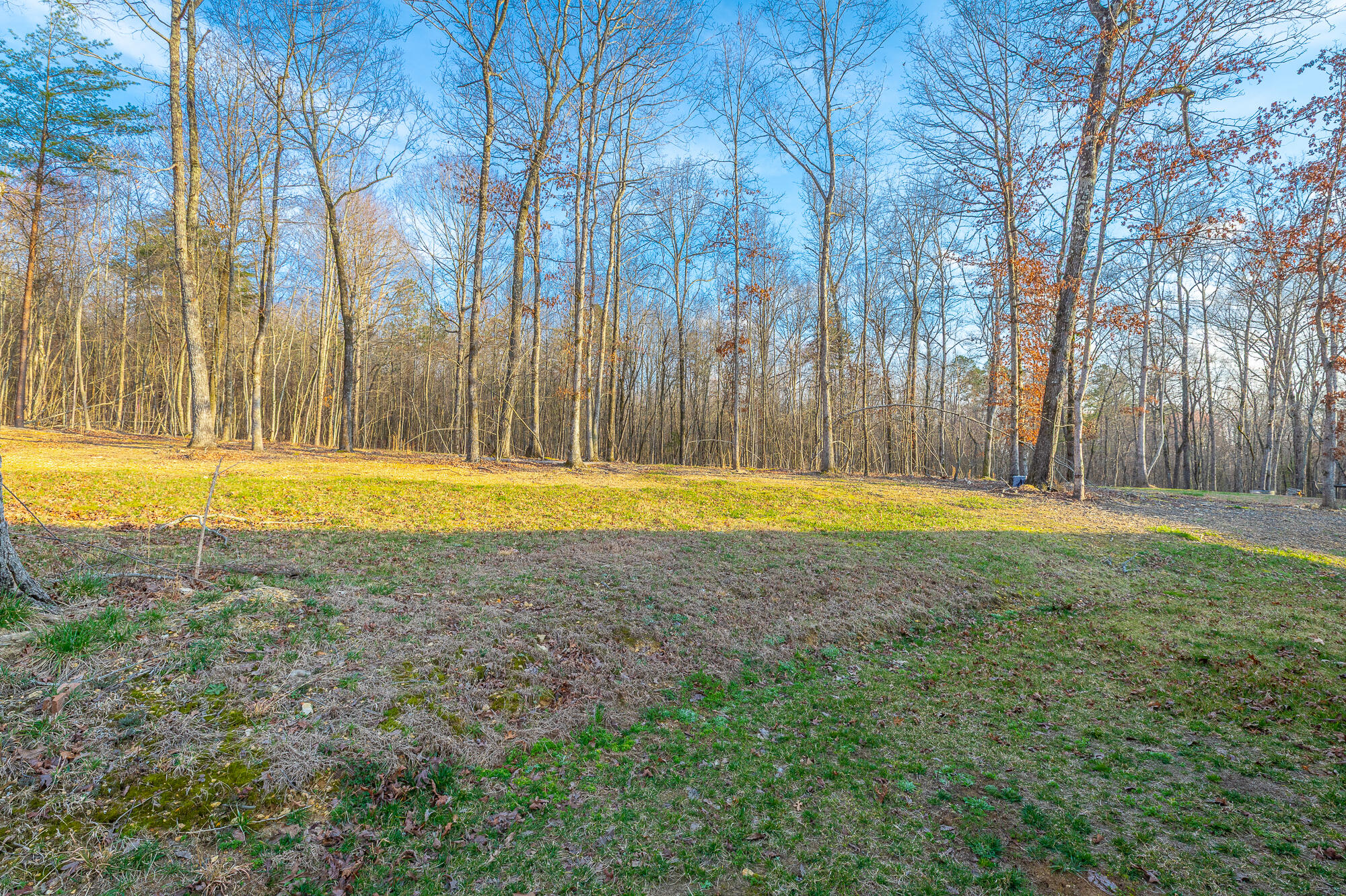 11544 Armstrong Road Soddy Daisy, TN 37379 - Photo 12 of 64 11544 Armstrong Road HD-32