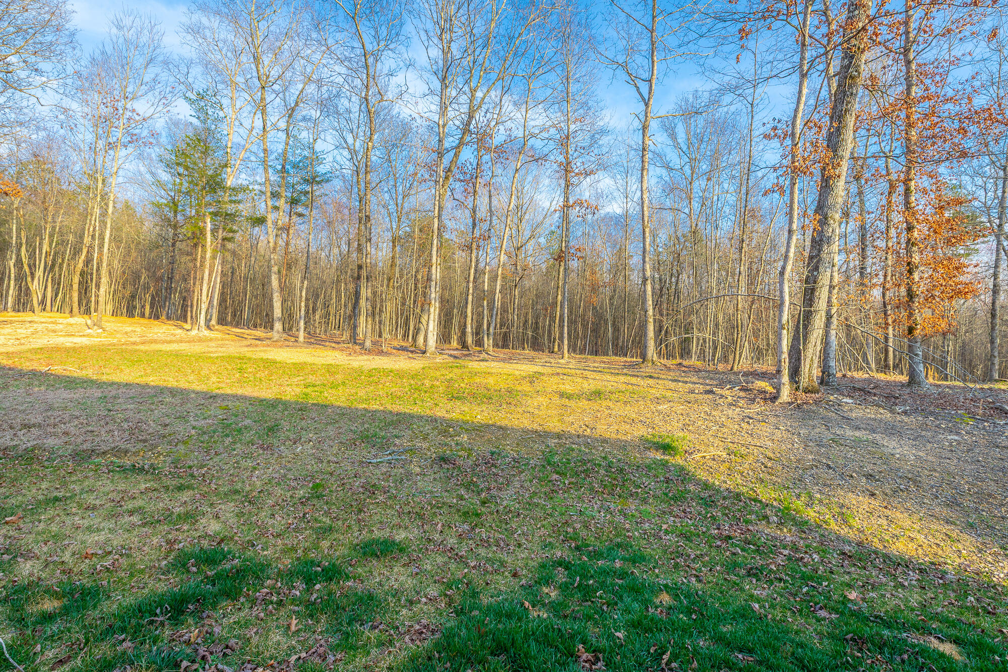 11544 Armstrong Road Soddy Daisy, TN 37379 - Photo 9 of 64 11544 Armstrong Road HD-31