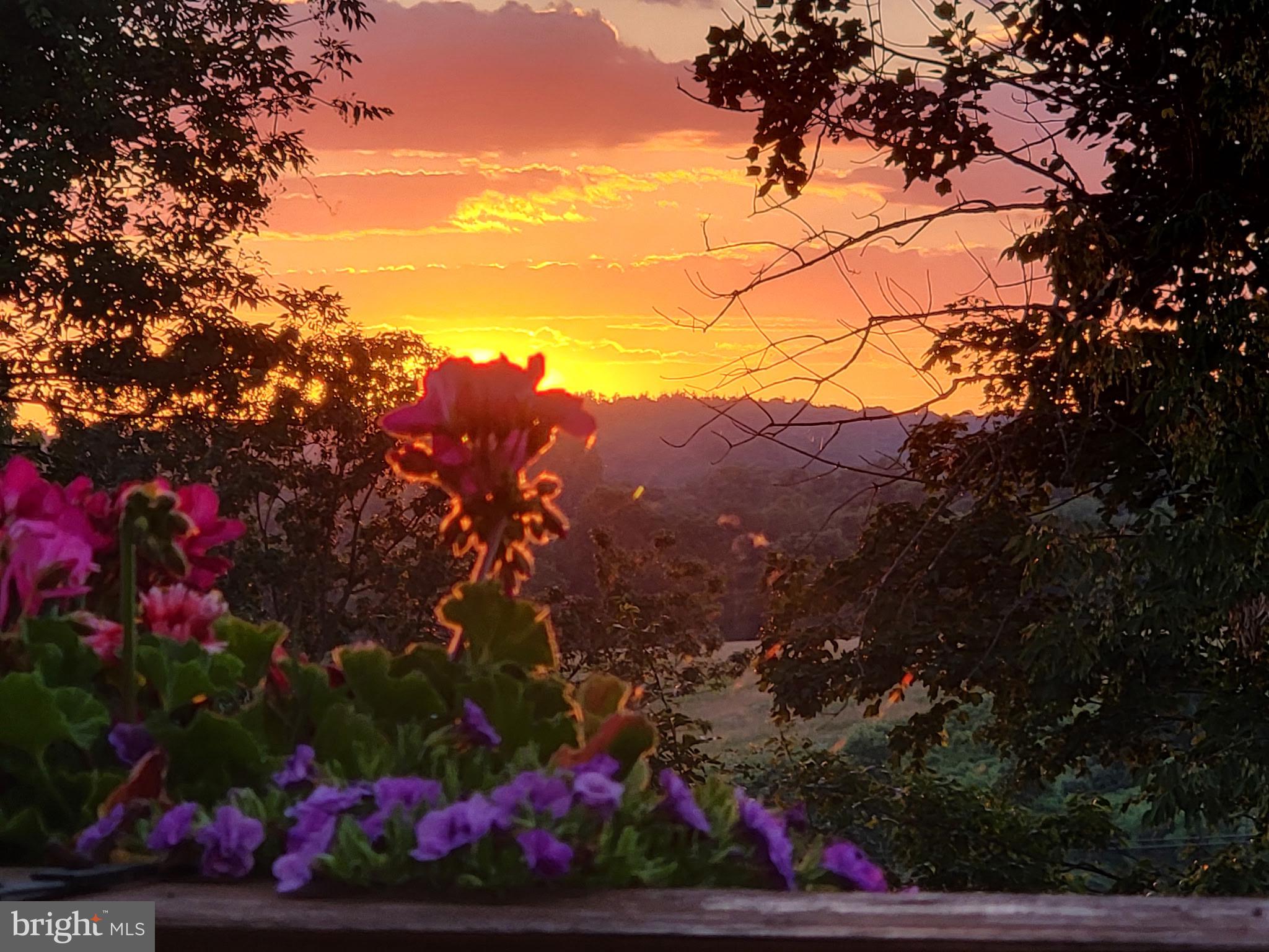 1406 Harbour Ridge Lane Downingtown, PA 19335 - Photo 53 of 57