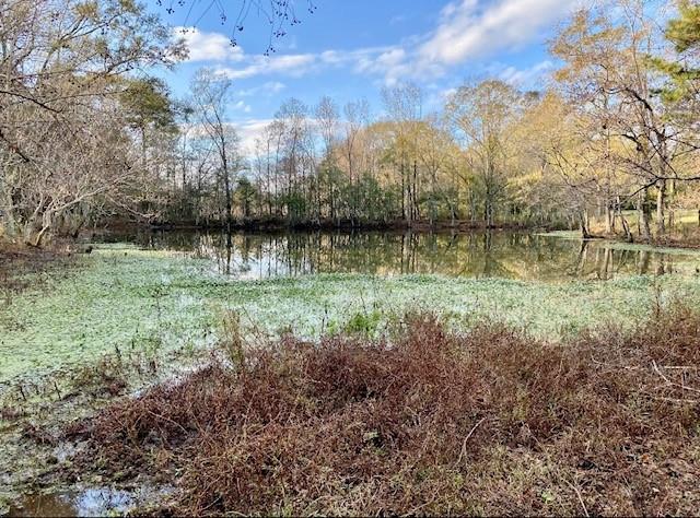 21171 Simmons Road Franklinton, LA 70438 - Photo 30 of 35