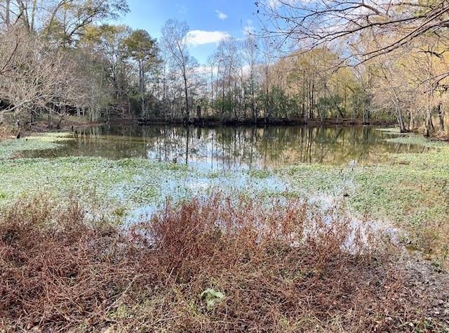 21171 Simmons Road Franklinton, LA 70438 - Photo 31 of 35