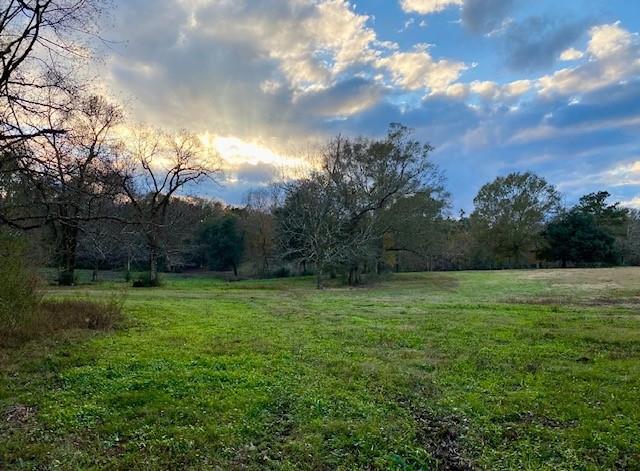 21171 Simmons Road Franklinton, LA 70438 - Photo 32 of 35