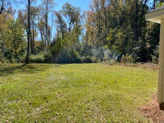 1838 Biggers Road Columbus, GA 31904 - Photo 5 of 27 BACK YARD