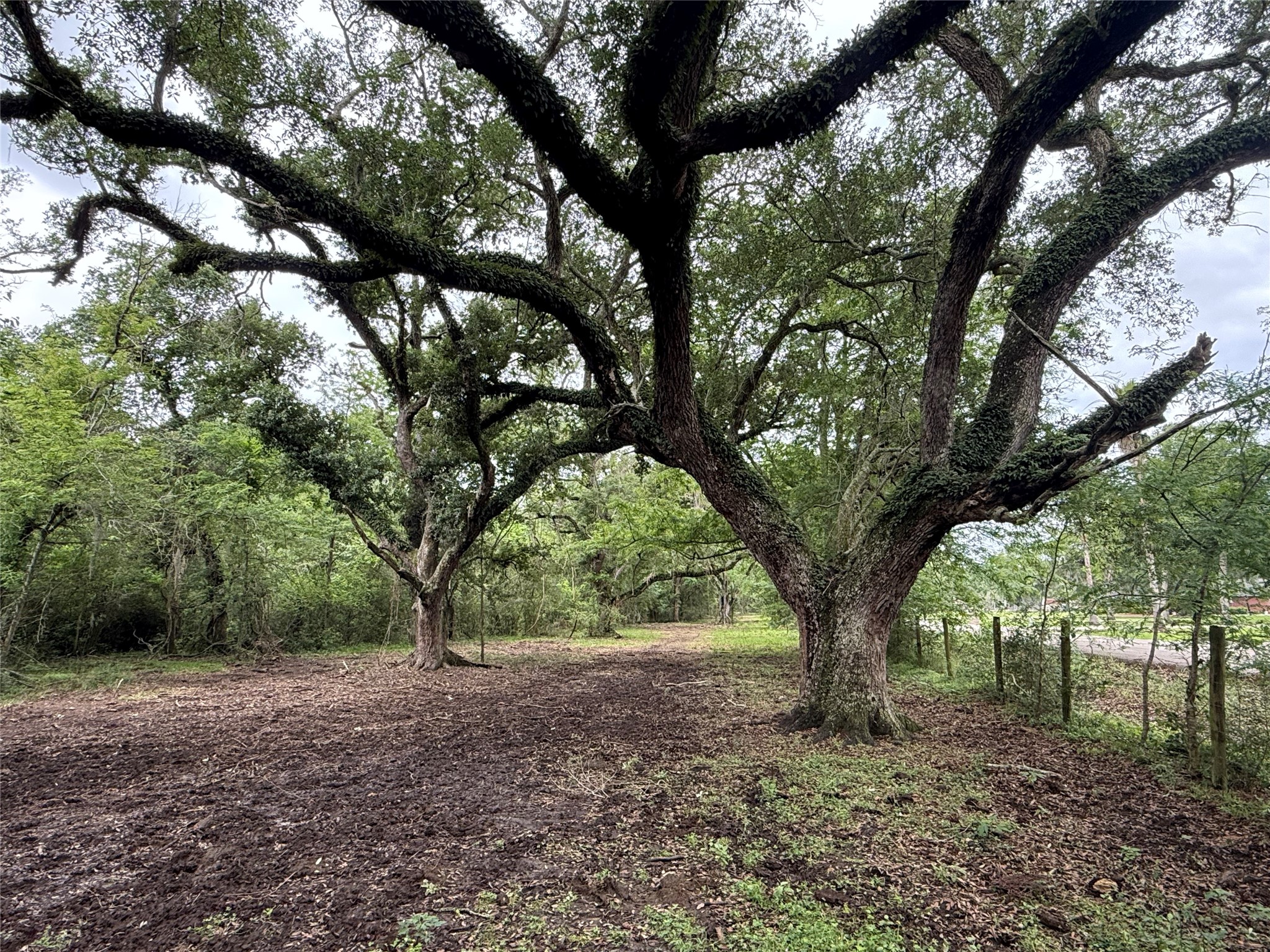 6833 Bryan Road Freeport, TX 77541 - Photo 2 of 7