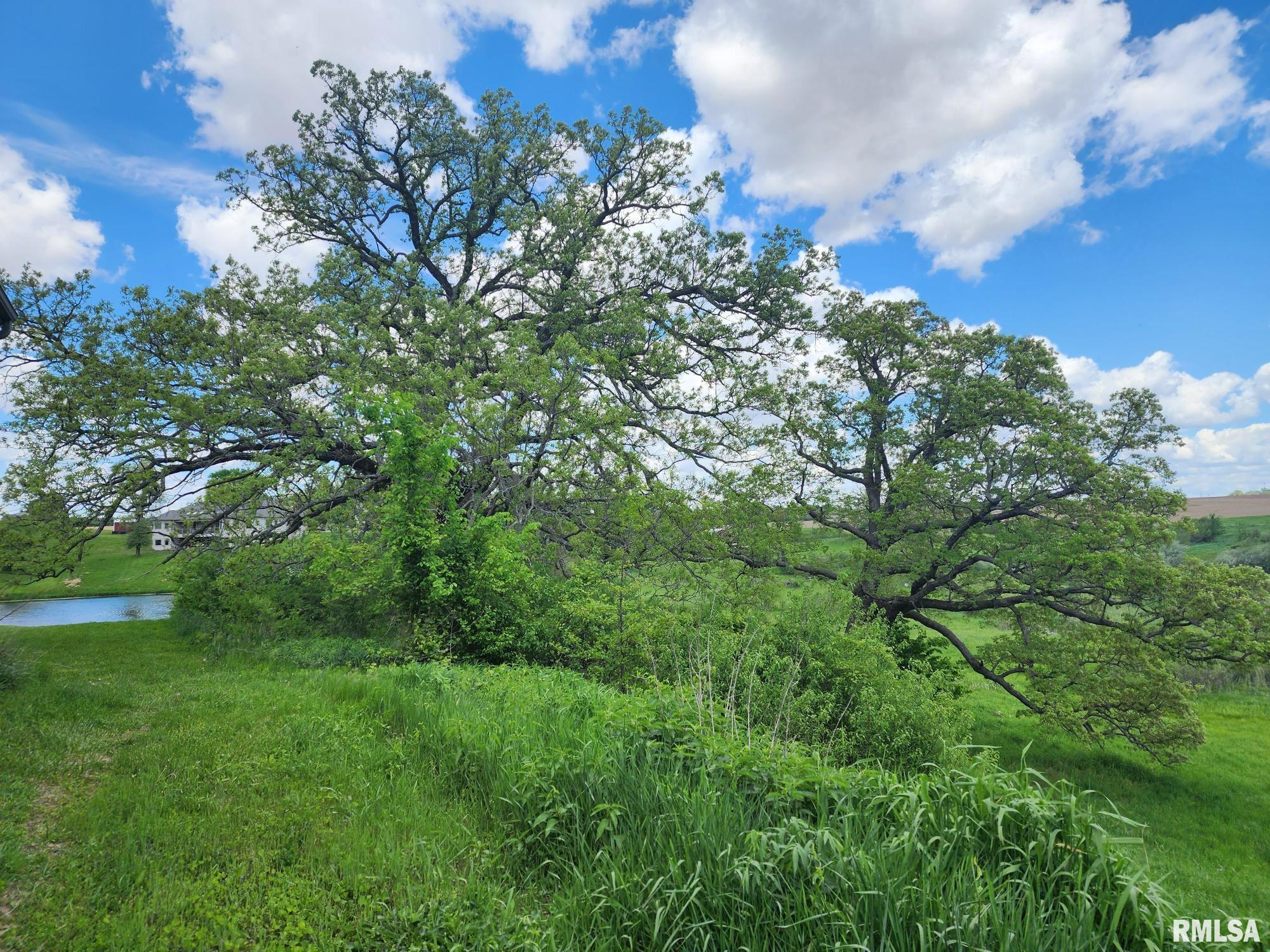 2797 180th Street Muscatine, IA 52761 - Photo 41 of 42