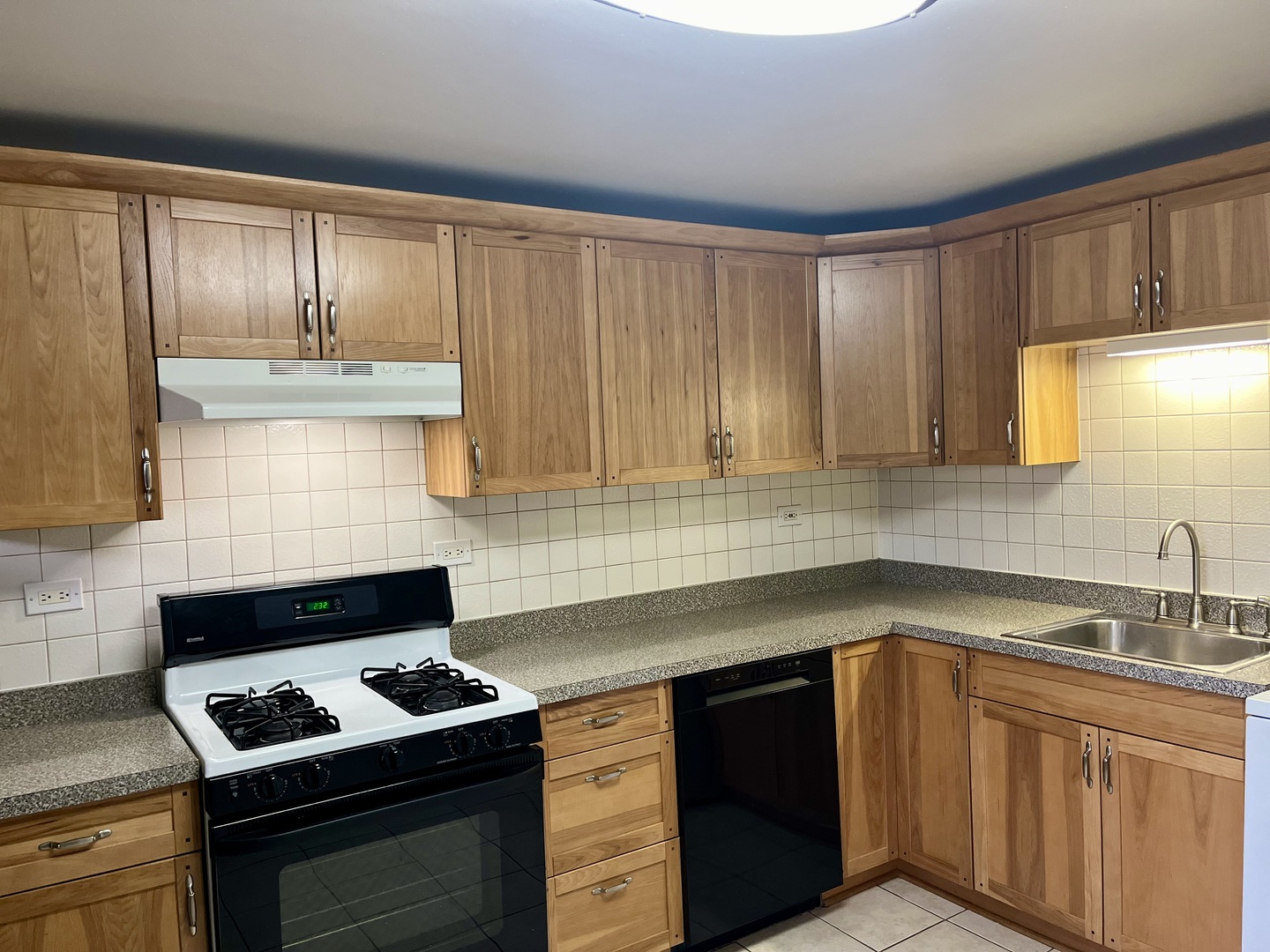 3535 South Lowe Avenue, Unit 1 Chicago, IL 60609 - Photo 12 of 17