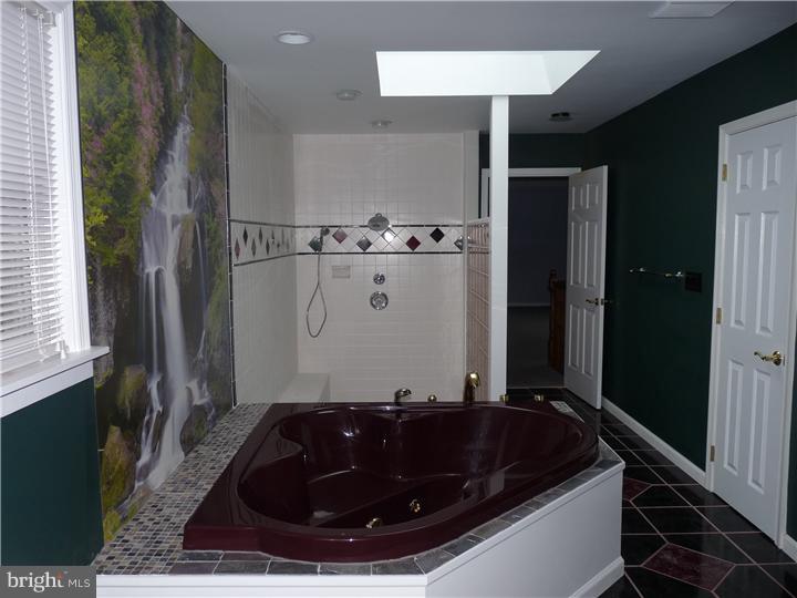 3355 Stump Hall Road Collegeville, PA 19426 - Photo 13 of 25 Bathroom
