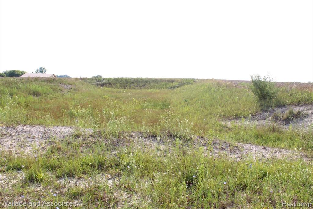 Lot 4 McIntyre Road North Street, MI 48049 - Photo 14 of 14