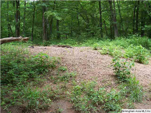 Narrows Road, Unit 168 Remlap, AL 35133 - Photo 10 of 21