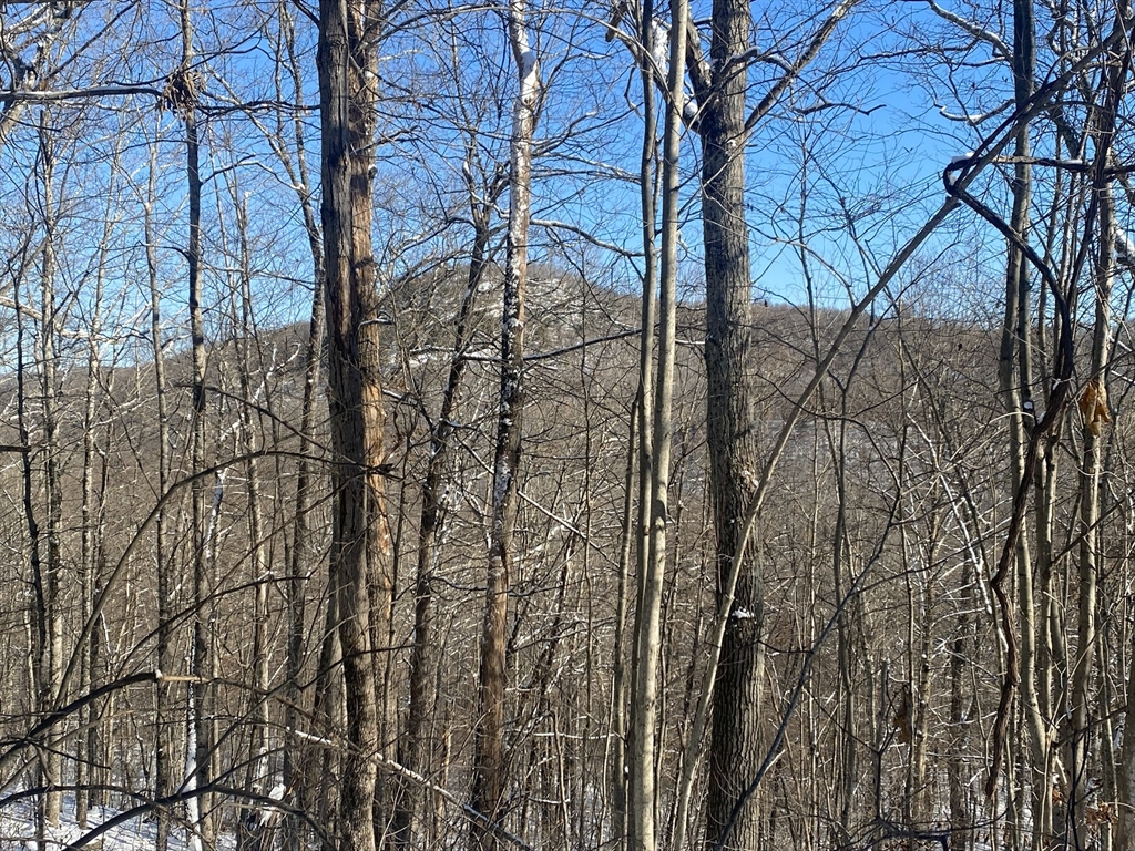 593 Old Warren Road Palmer, MA 01069 - Photo 3 of 8