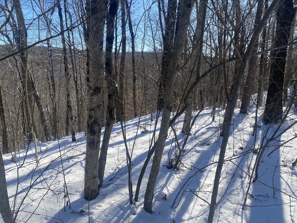 593 Old Warren Road Palmer, MA 01069 - Photo 4 of 8