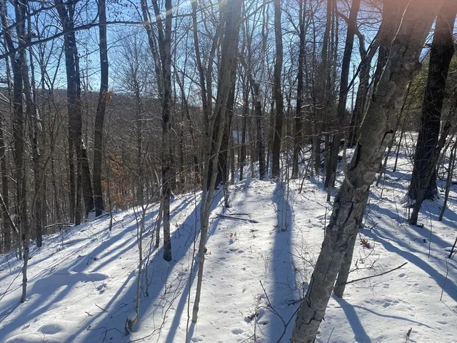 $79,900 | 593 Old Warren Road, Palmer, MA 01069