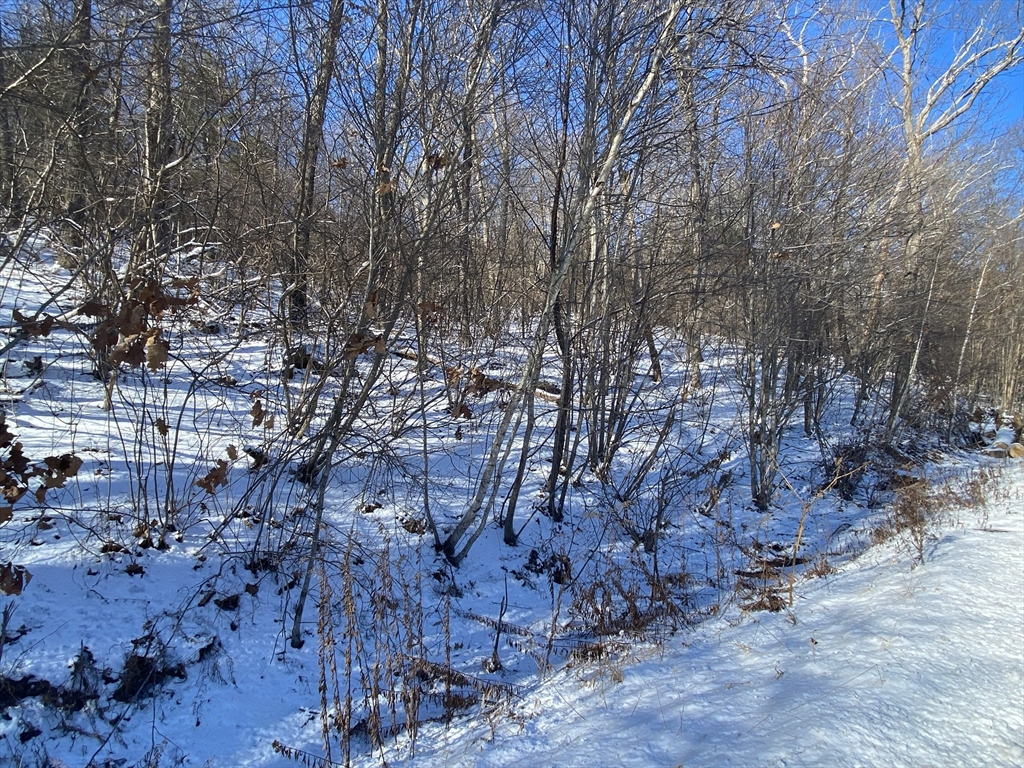 593 Old Warren Road Palmer, MA 01069 - Photo 6 of 8