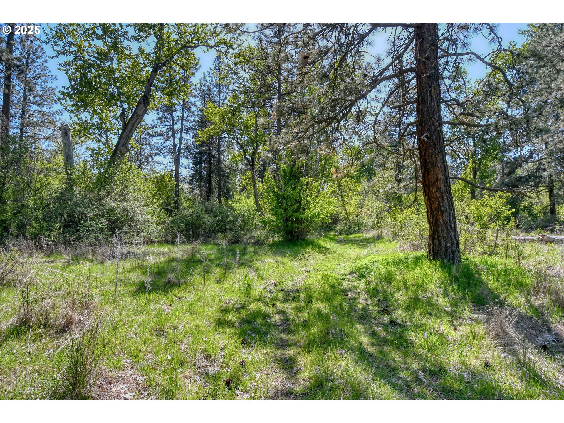 54693 Bingham Road Adams, OR 97810 - Photo 48 of 48