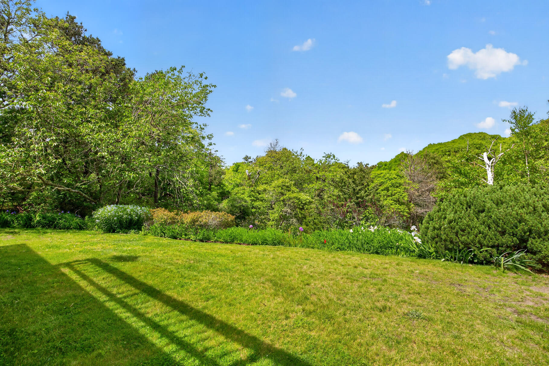 17 Gosnold Road Orleans, MA 02653 - Photo 13 of 52 Beautifully landscaped Grounds