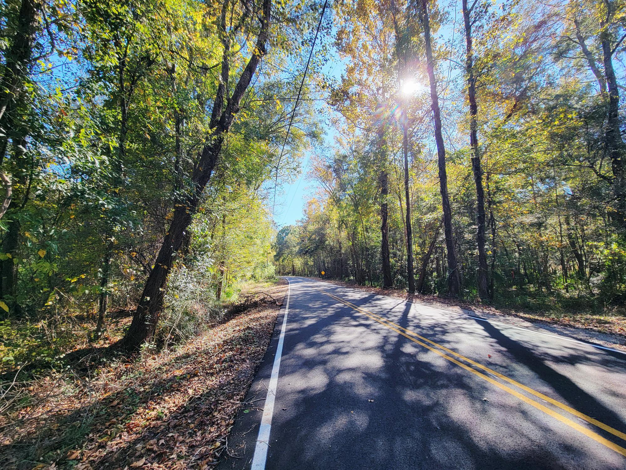 1907 River Road Ponce de Leon, FL 32455 - Photo 13 of 63 20251112_131217