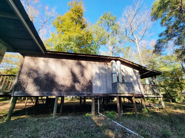 a view of a backyard with of trees
