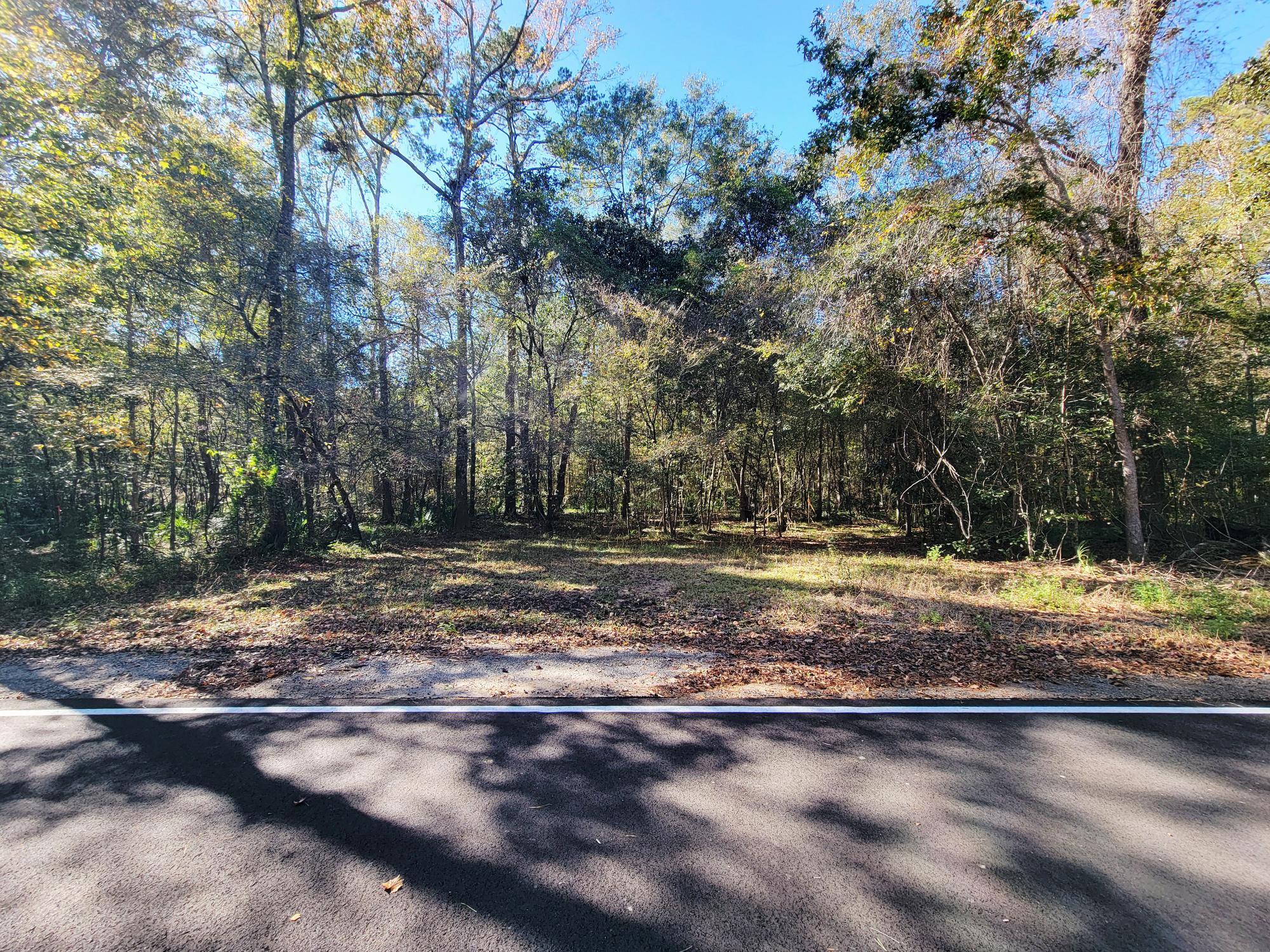 1907 River Road Ponce de Leon, FL 32455 - Photo 16 of 63 a view of a backyard of a house