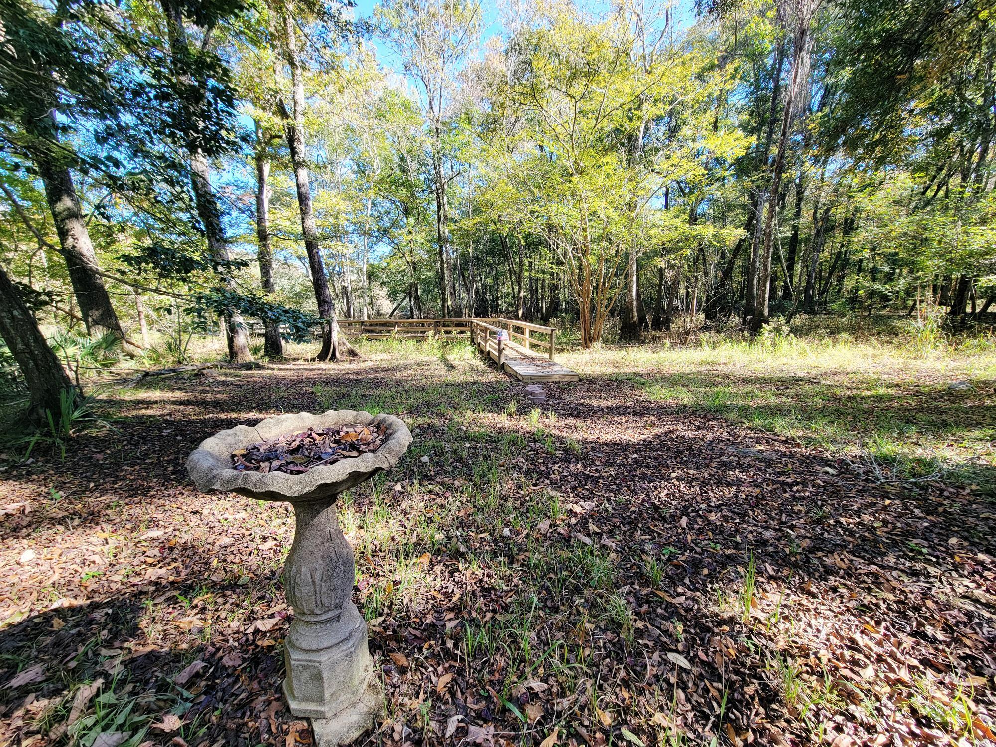 1907 River Road Ponce de Leon, FL 32455 - Photo 29 of 63 a view of a backyard with of trees