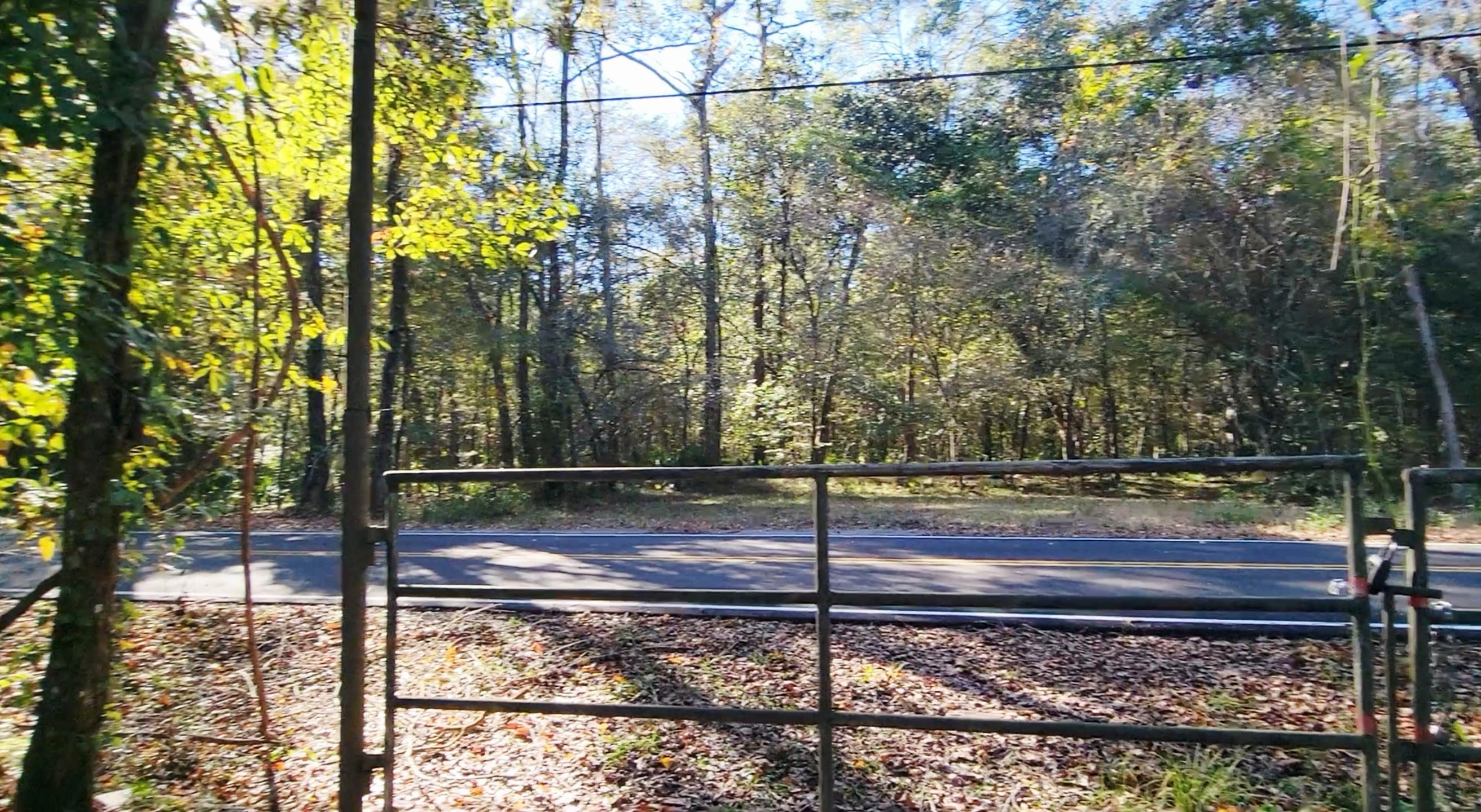 1907 River Road Ponce de Leon, FL 32455 - Photo 39 of 63 a view of a yard