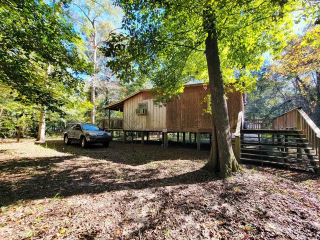 a view of a yard with large trees