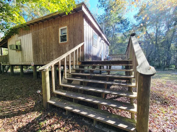 a view of a yard with plants and trees