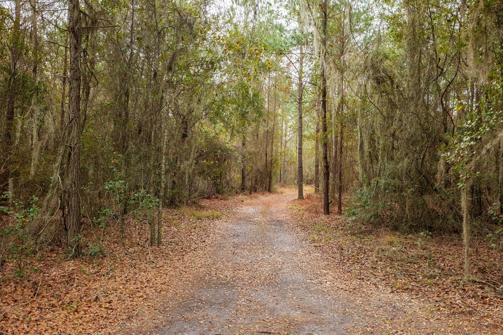 103 Register Road Lakeland, GA 31635 - Photo 10 of 17 Gallery Image 10