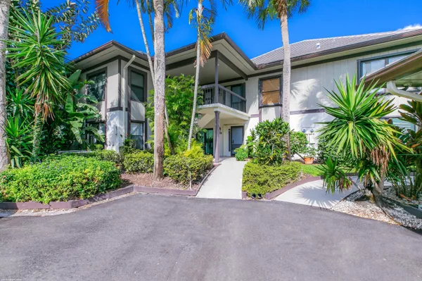 a view of a garden with potted plants