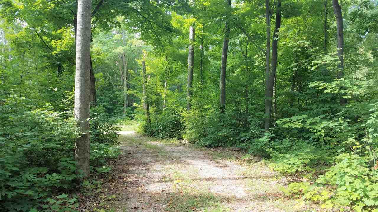 16756 Acorn Ridge Beulah, MI 49617 - Photo 3 of 12 1878253-2.JPG
