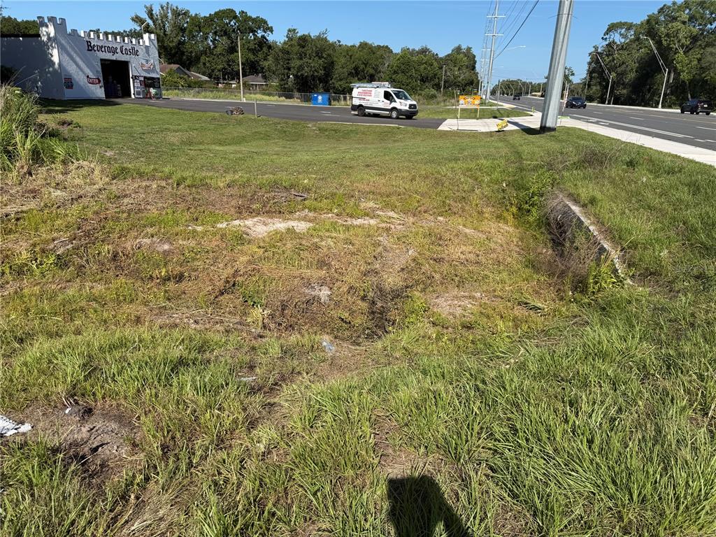 Dossey Road South Lakeland, FL 33811 - Photo 7 of 10 a view of a garden with an outdoor space