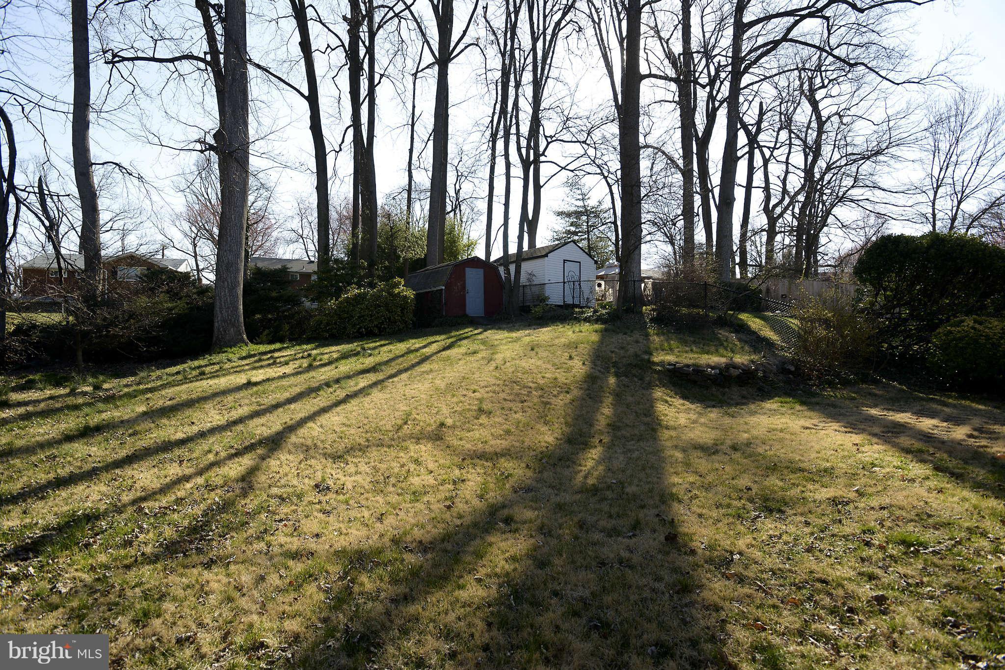 3913 Isbell Street Silver Spring, MD 20906 - Photo 21 of 23 a view of backyard with green space