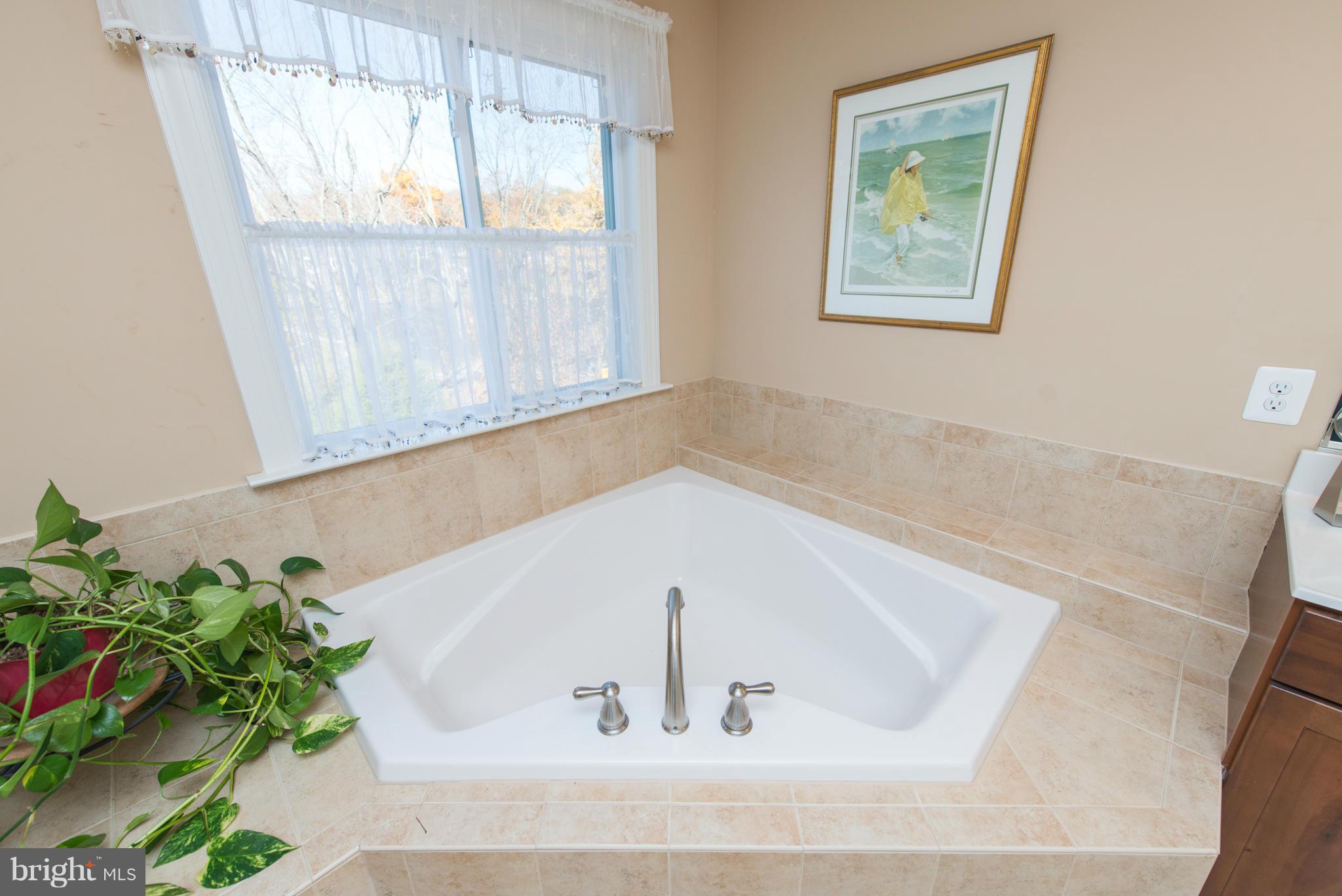 301 Kramer Road Pasadena, MD 21122 - Photo 19 of 30 Bath (Master)