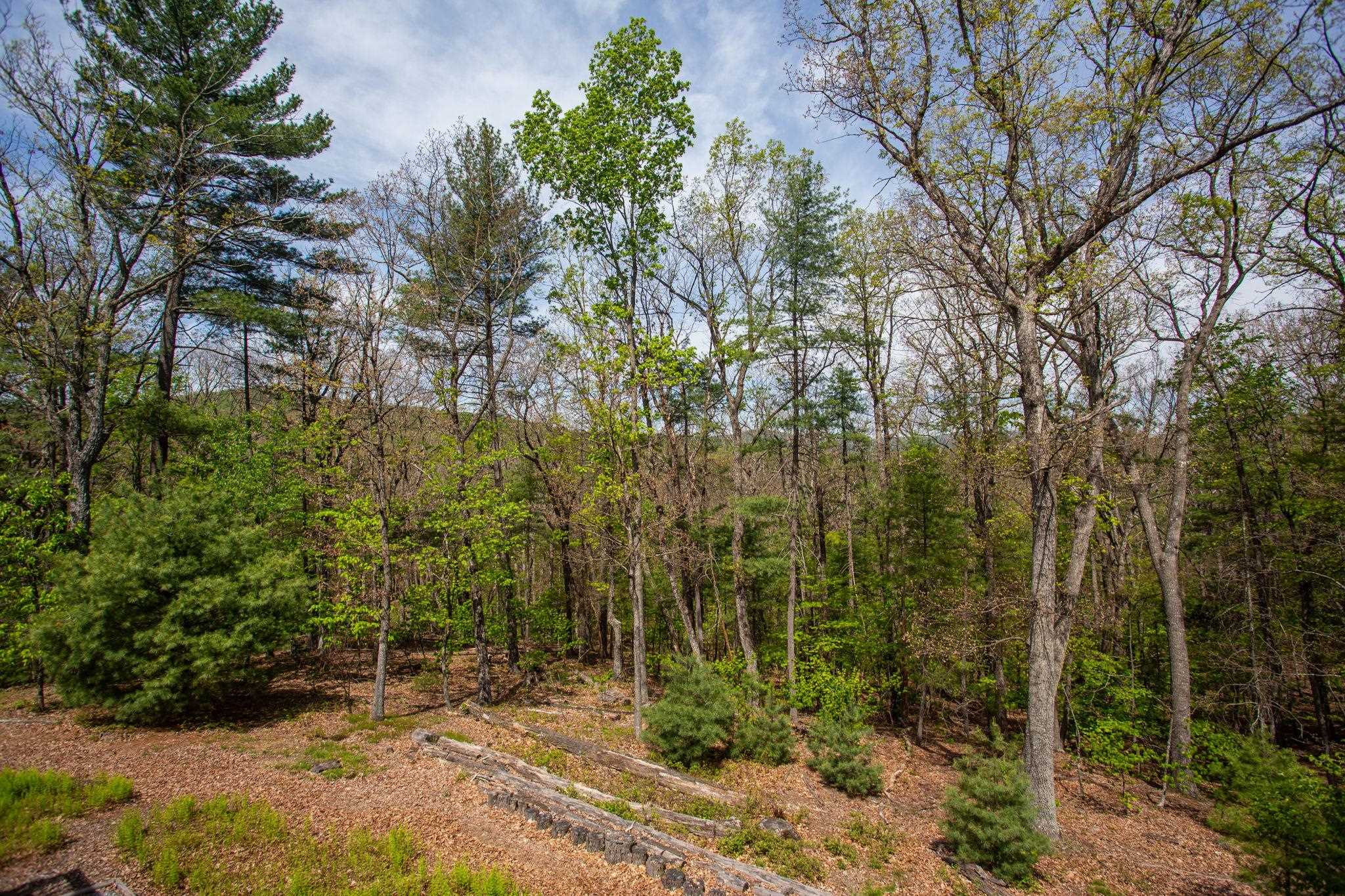 324 Mountaintop Drive Mathias, WV 26812 - Photo 27 of 27 Seasonal Mountain Views