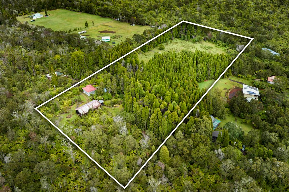 19-4370 Ainahau Road Volcano, HI 96785 - Photo 2 of 30 Gallery Image 2